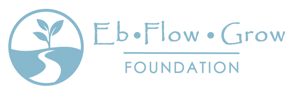 The Eb Flow Grow Foundation